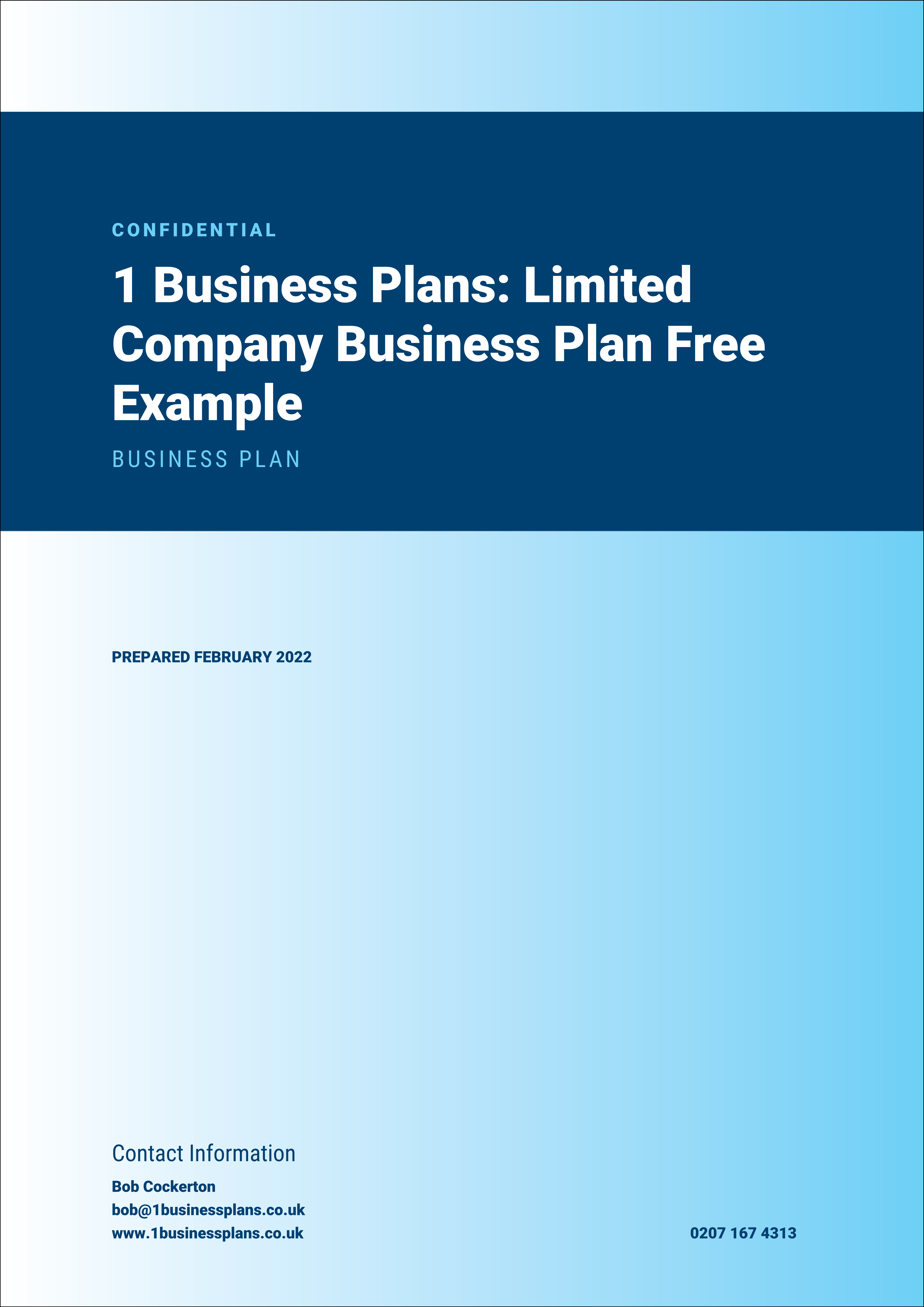 01 Business Plans- Ltd Company Buss Plan Free Example